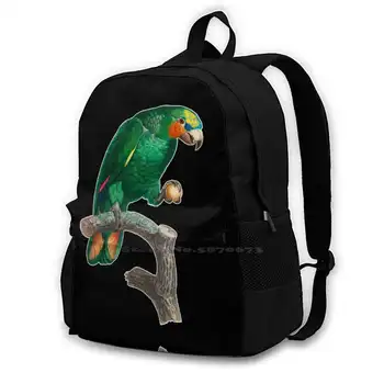 Зеленый Попугай на жердочке Рюкзак для школьника, сумка для ноутбука, дорожная сумка Perch Parrot Green Bird, маленькая красочная винтажная ручная роспись